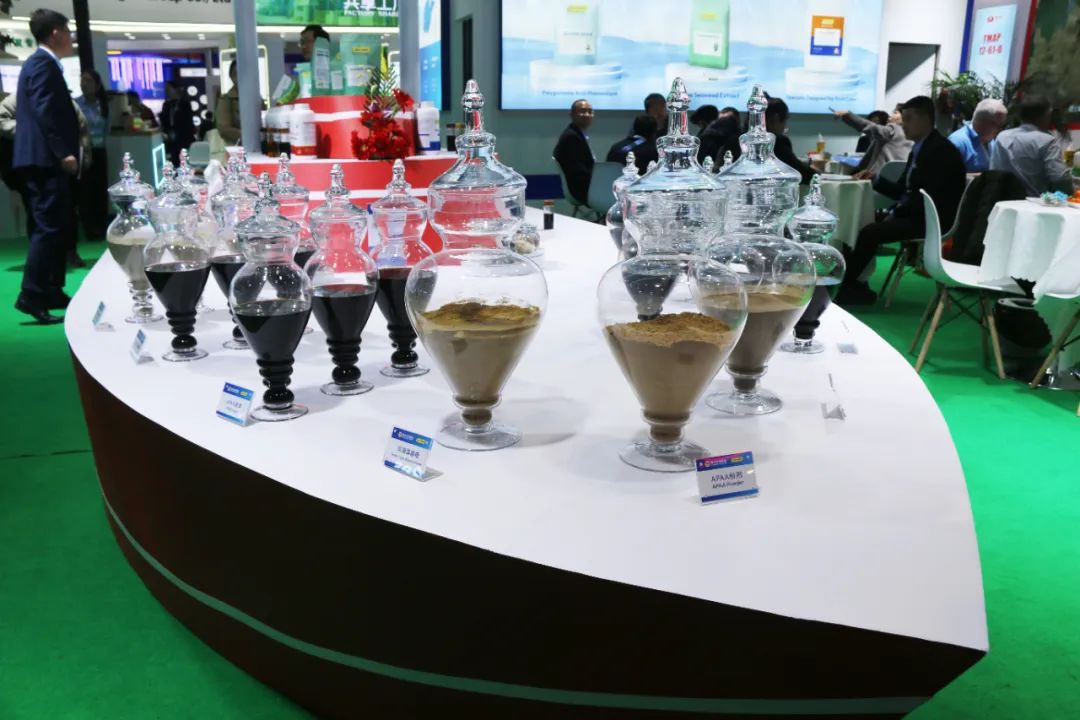 金牌赞助企业九游会老哥俱乐部登录生物全新亮相上海CAC国际农化展，以科技实力献礼25周年